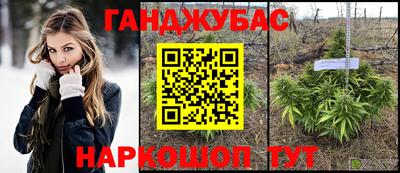 стаф Моздок