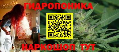 стаф Моздок