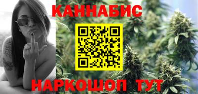 стаф Моздок